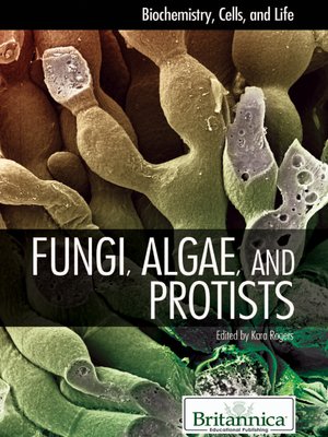 cover image of Fungi, Algae, and Protists